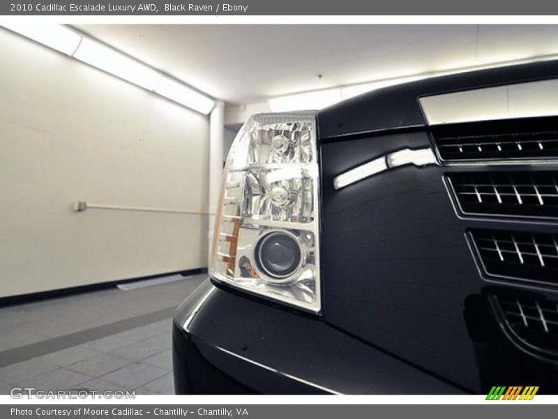 Black Raven / Ebony 2010 Cadillac Escalade Luxury AWD