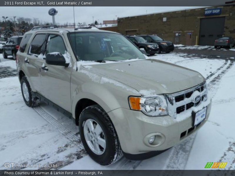 Gold Leaf Metallic / Camel 2011 Ford Escape XLT