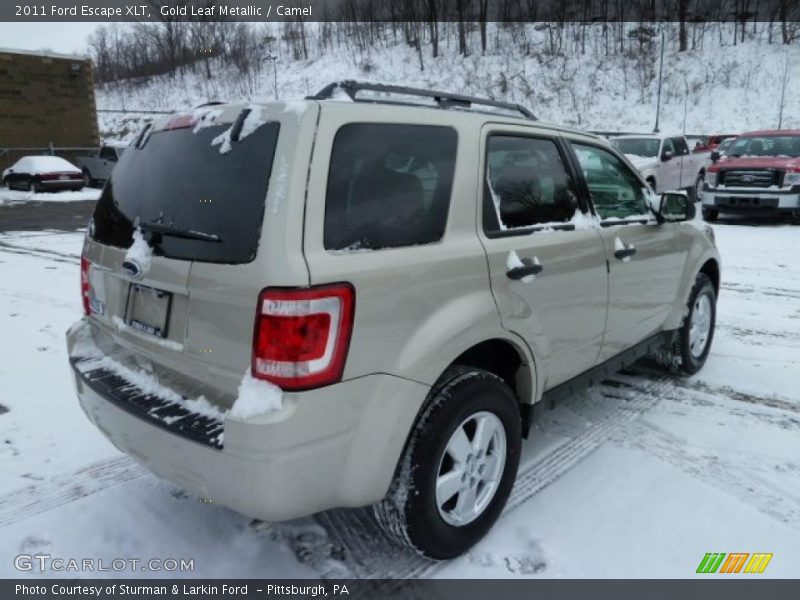 Gold Leaf Metallic / Camel 2011 Ford Escape XLT