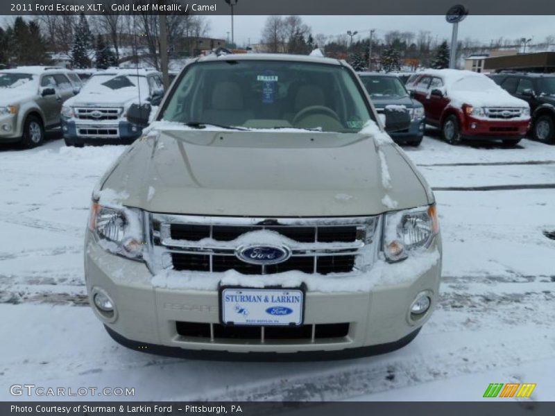 Gold Leaf Metallic / Camel 2011 Ford Escape XLT