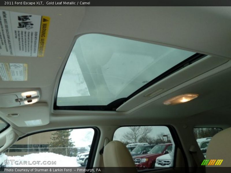 Gold Leaf Metallic / Camel 2011 Ford Escape XLT