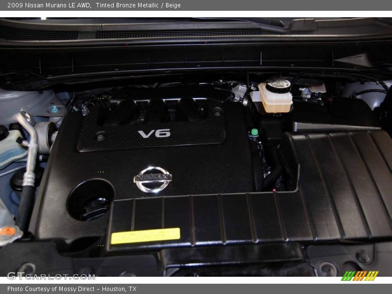 Tinted Bronze Metallic / Beige 2009 Nissan Murano LE AWD