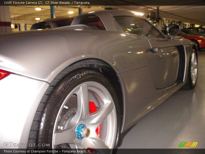 GT Silver Metallic / Terracotta 2005 Porsche Carrera GT