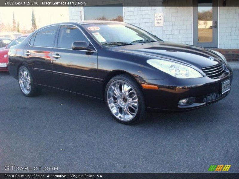 Black Garnet Pearl / Ivory 2002 Lexus ES 300