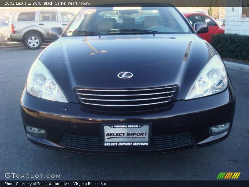 Black Garnet Pearl / Ivory 2002 Lexus ES 300
