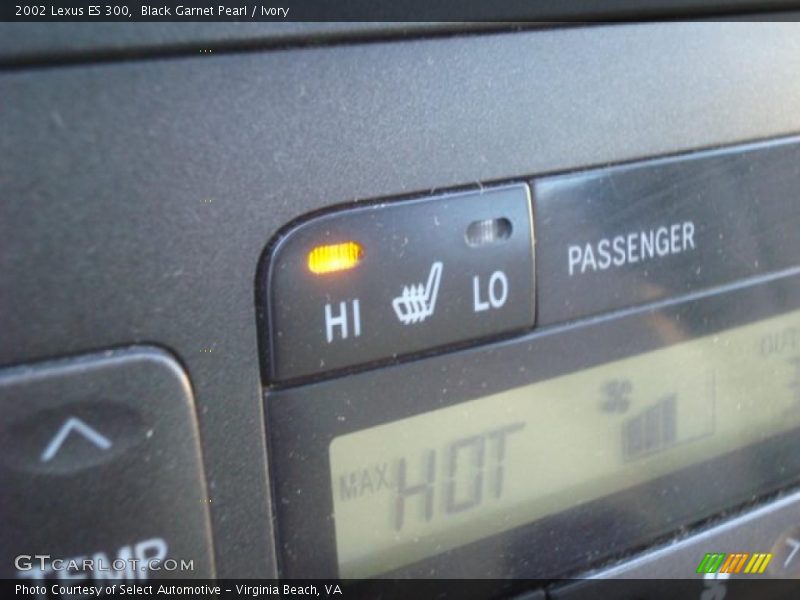 Black Garnet Pearl / Ivory 2002 Lexus ES 300