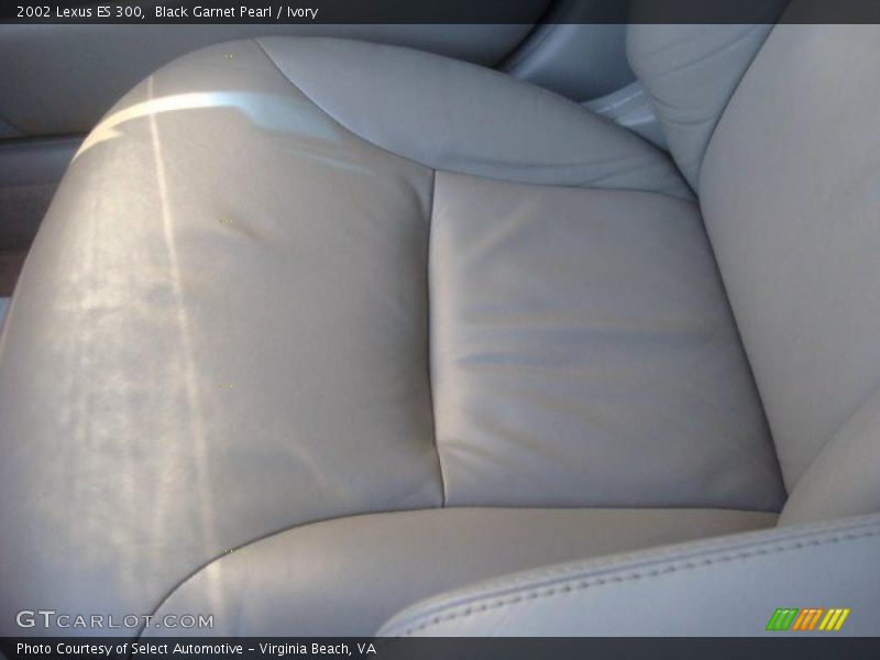 Black Garnet Pearl / Ivory 2002 Lexus ES 300