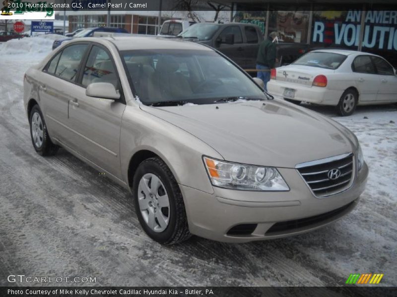 Camel Pearl / Camel 2010 Hyundai Sonata GLS