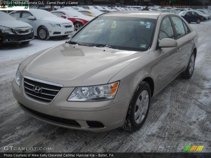 Camel Pearl / Camel 2010 Hyundai Sonata GLS