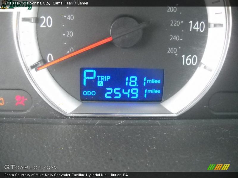 Camel Pearl / Camel 2010 Hyundai Sonata GLS