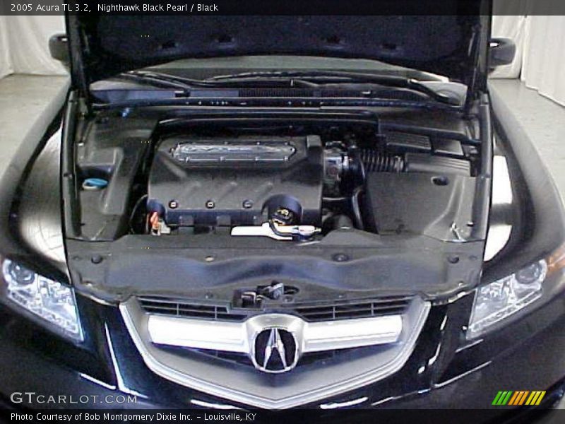 Nighthawk Black Pearl / Black 2005 Acura TL 3.2