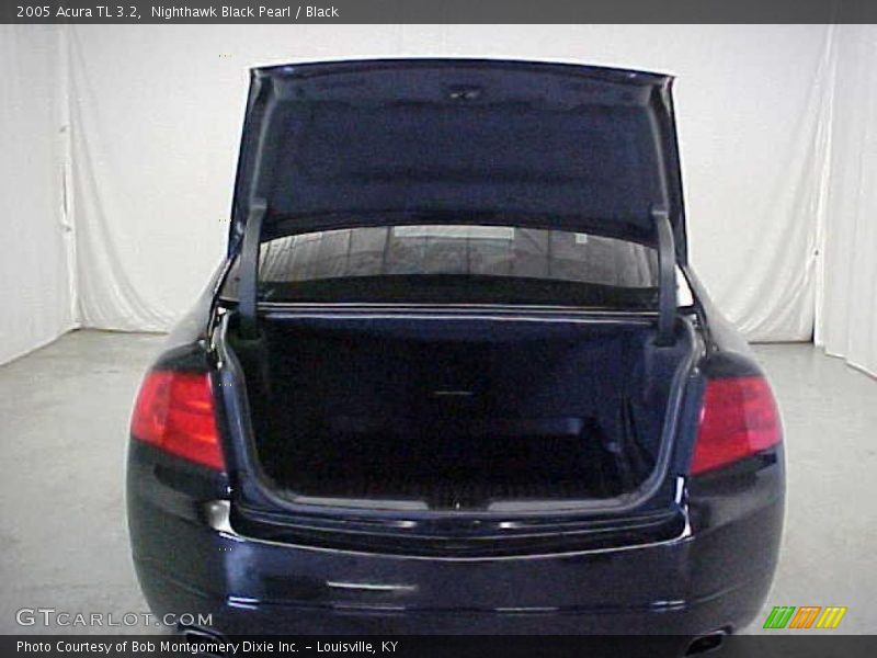Nighthawk Black Pearl / Black 2005 Acura TL 3.2