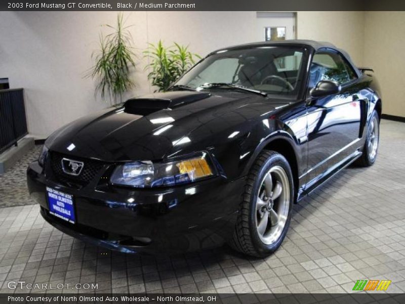 Black / Medium Parchment 2003 Ford Mustang GT Convertible