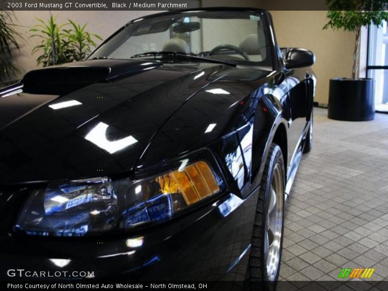 Black / Medium Parchment 2003 Ford Mustang GT Convertible