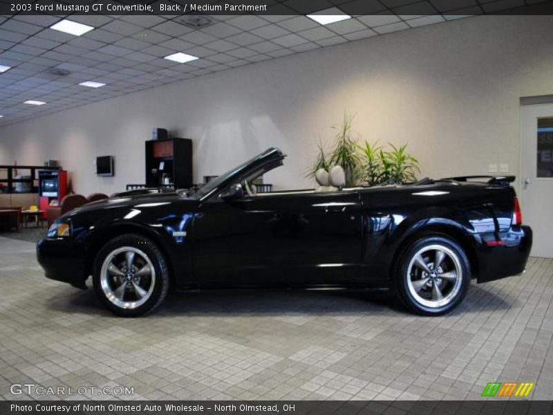 Black / Medium Parchment 2003 Ford Mustang GT Convertible