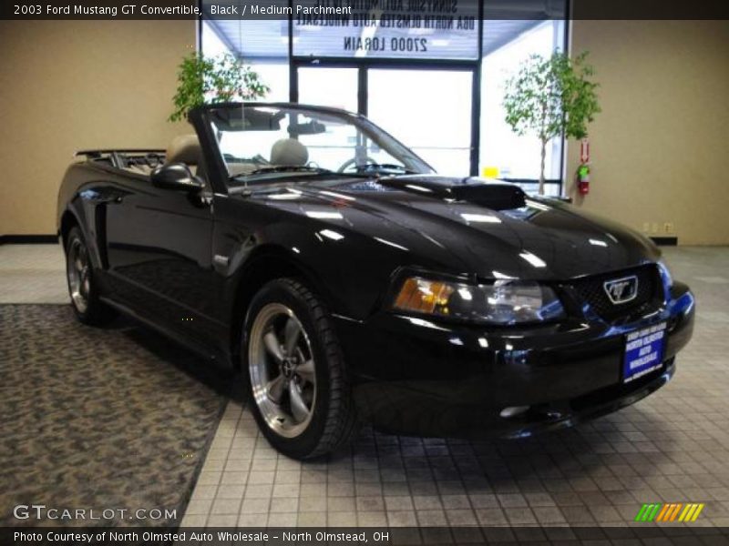 Black / Medium Parchment 2003 Ford Mustang GT Convertible