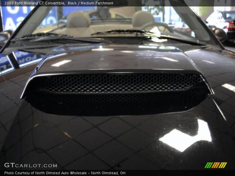 Black / Medium Parchment 2003 Ford Mustang GT Convertible
