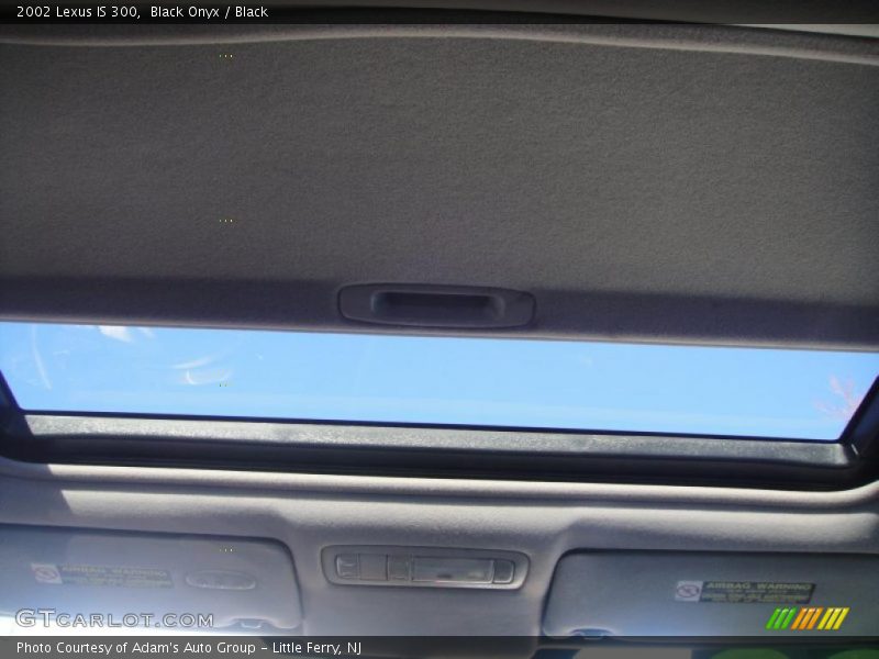 Black Onyx / Black 2002 Lexus IS 300