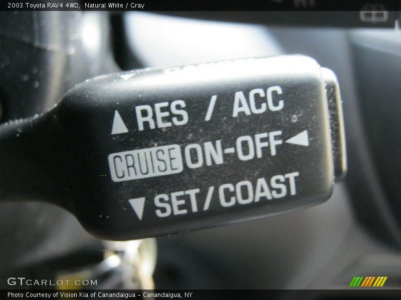 Natural White / Gray 2003 Toyota RAV4 4WD