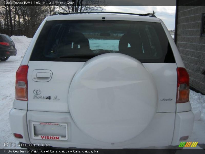 Natural White / Gray 2003 Toyota RAV4 4WD