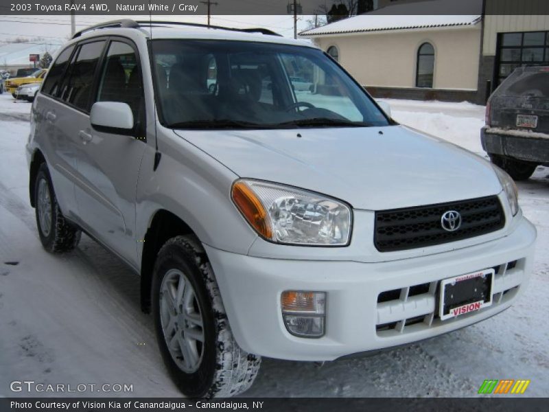 Natural White / Gray 2003 Toyota RAV4 4WD