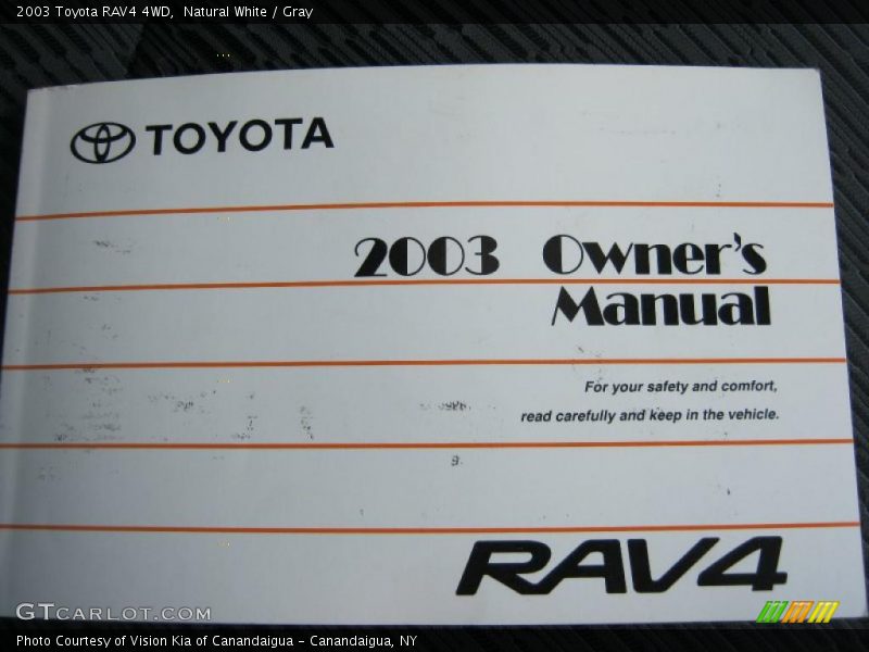 Natural White / Gray 2003 Toyota RAV4 4WD