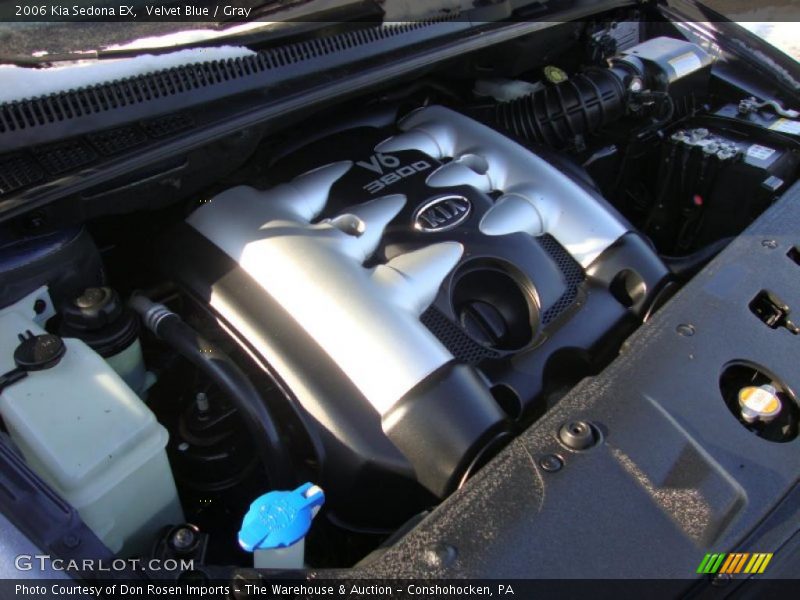 Velvet Blue / Gray 2006 Kia Sedona EX