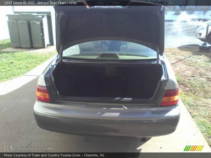 Antique Sage Pearl / Gray 1997 Lexus ES 300