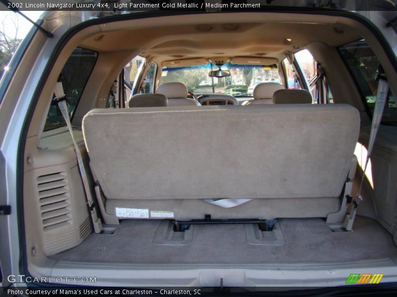 Light Parchment Gold Metallic / Medium Parchment 2002 Lincoln Navigator Luxury 4x4