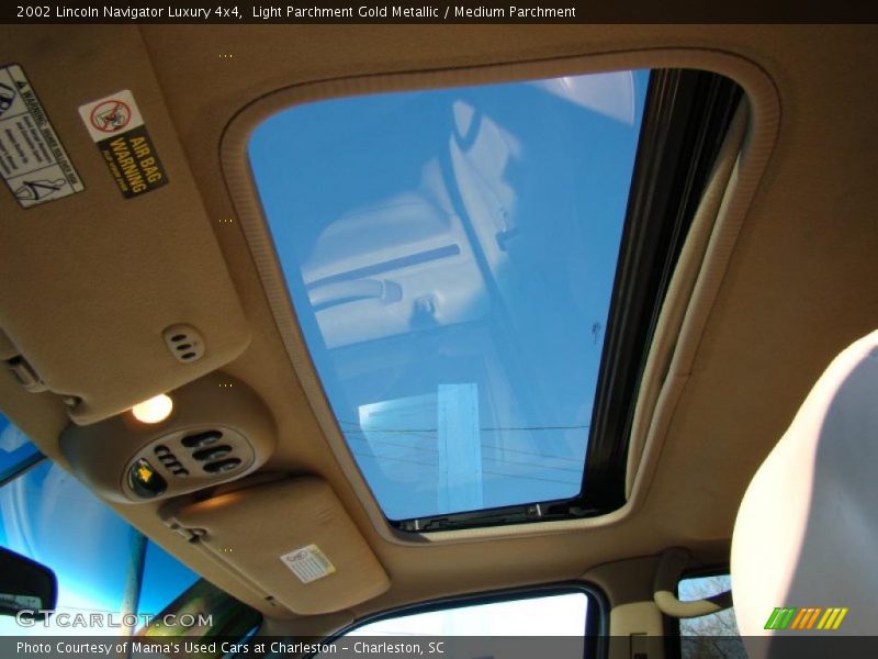 Light Parchment Gold Metallic / Medium Parchment 2002 Lincoln Navigator Luxury 4x4