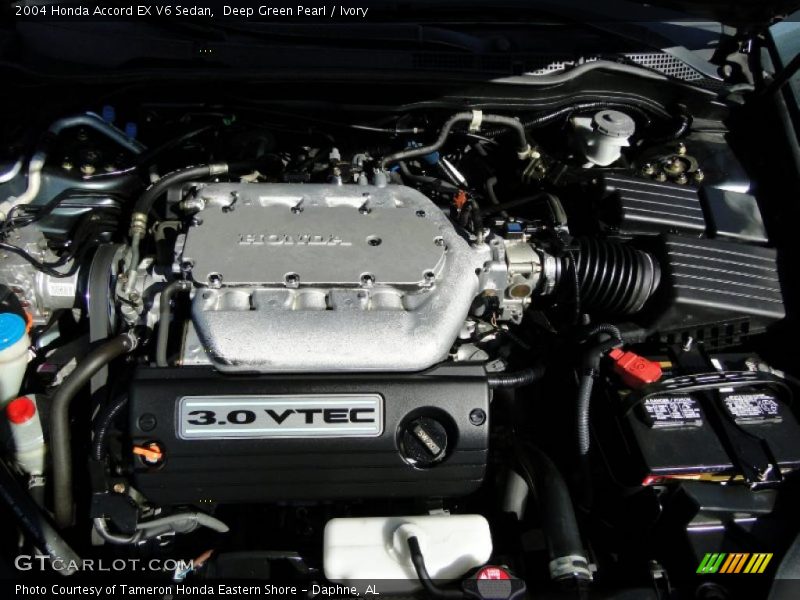 Deep Green Pearl / Ivory 2004 Honda Accord EX V6 Sedan