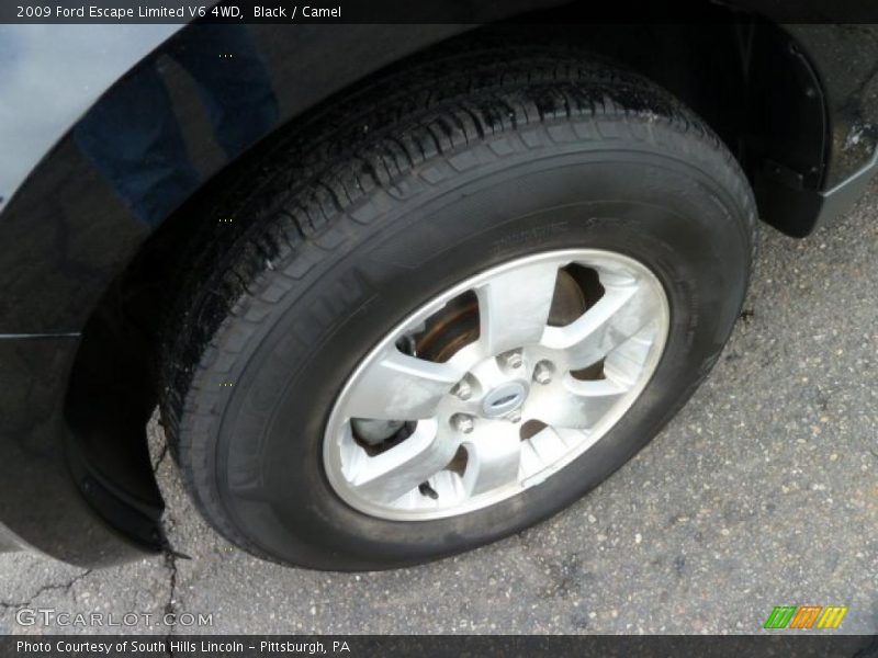 Black / Camel 2009 Ford Escape Limited V6 4WD