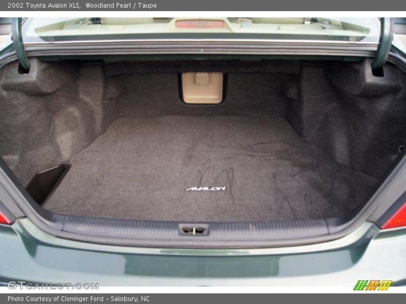 Woodland Pearl / Taupe 2002 Toyota Avalon XLS