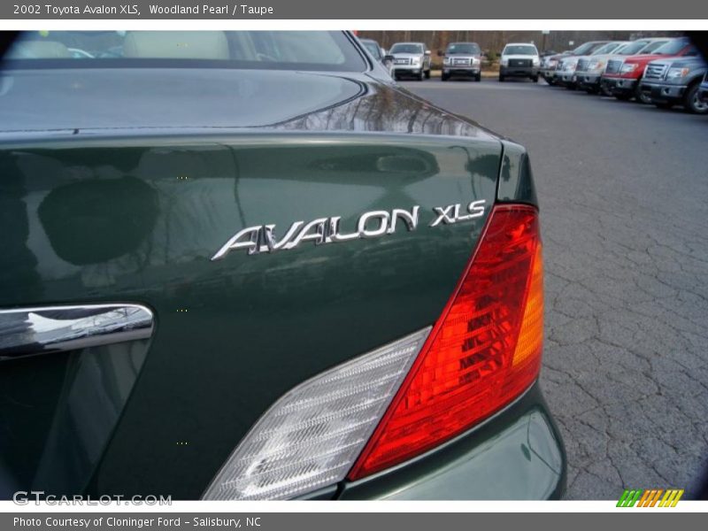 Woodland Pearl / Taupe 2002 Toyota Avalon XLS