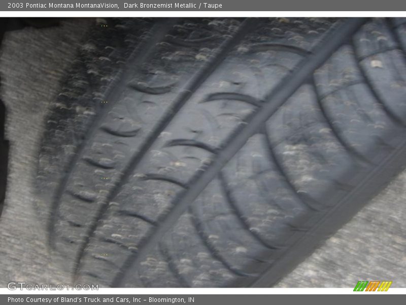 Dark Bronzemist Metallic / Taupe 2003 Pontiac Montana MontanaVision