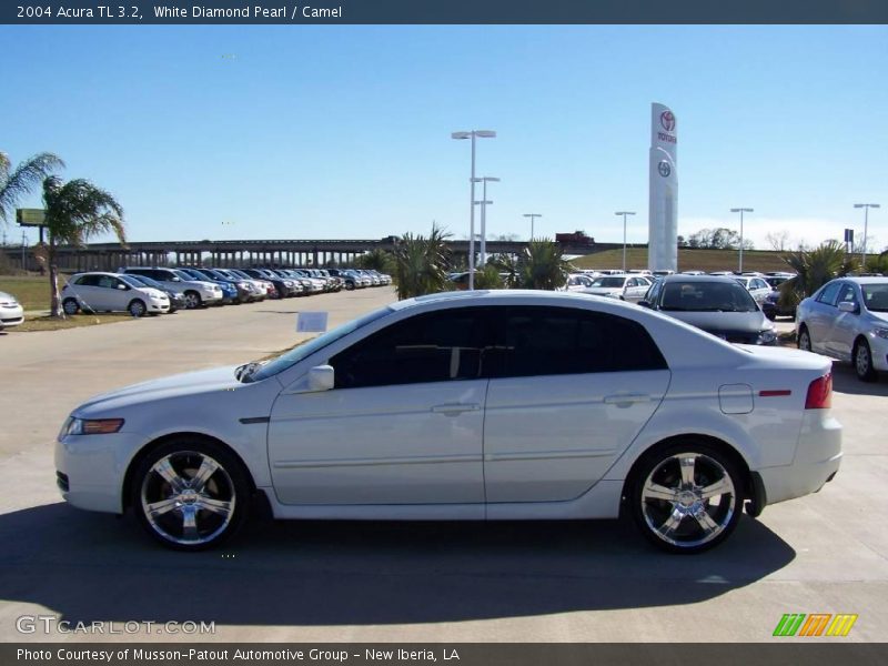 White Diamond Pearl / Camel 2004 Acura TL 3.2