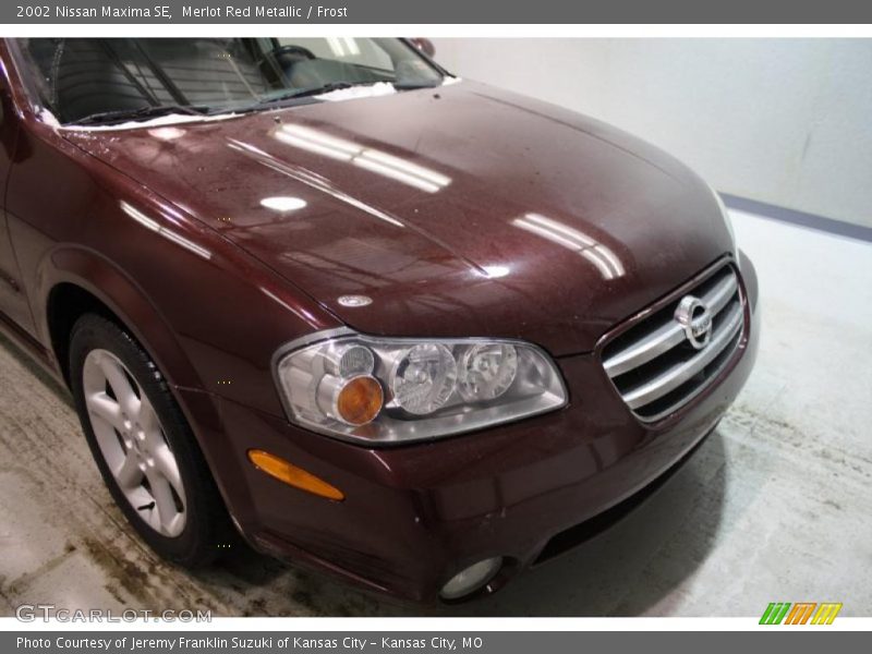 Merlot Red Metallic / Frost 2002 Nissan Maxima SE
