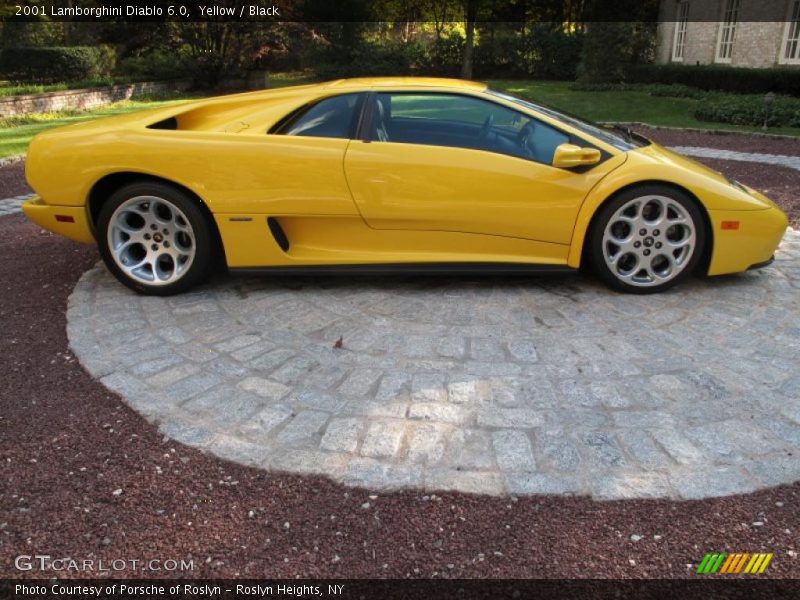  2001 Diablo 6.0 Yellow