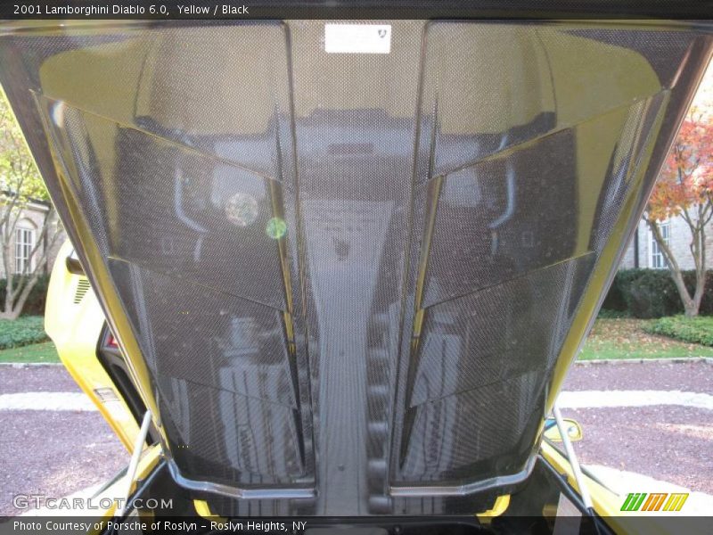 Yellow / Black 2001 Lamborghini Diablo 6.0