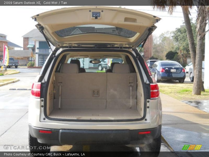 Gold Mist / Tan 2009 Saturn Outlook XE