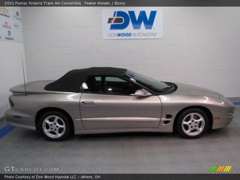 Pewter Metallic / Ebony 2001 Pontiac Firebird Trans Am Convertible