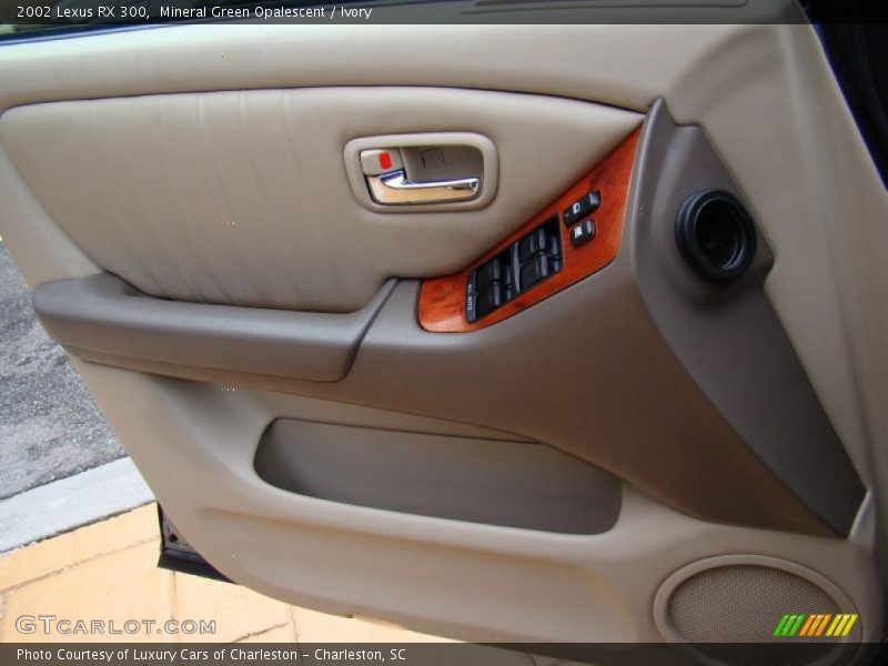 Door Panel of 2002 RX 300