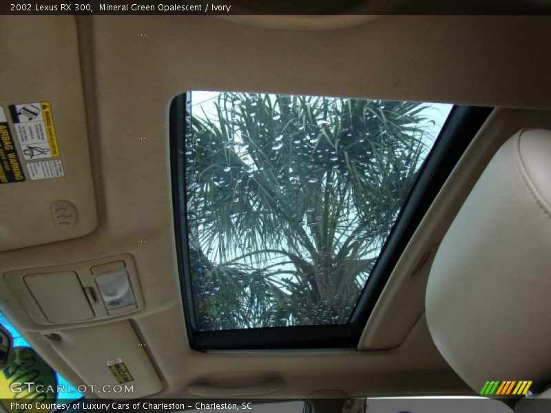 Mineral Green Opalescent / Ivory 2002 Lexus RX 300