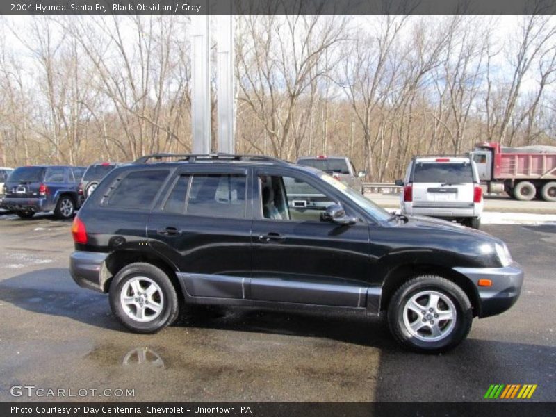 Black Obsidian / Gray 2004 Hyundai Santa Fe