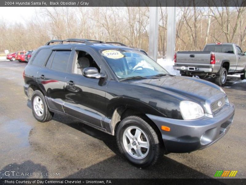 Black Obsidian / Gray 2004 Hyundai Santa Fe