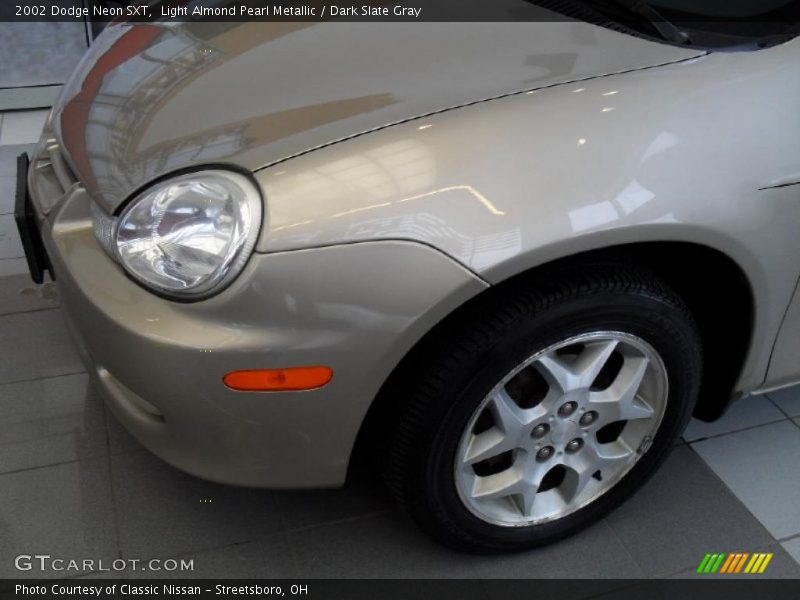 Light Almond Pearl Metallic / Dark Slate Gray 2002 Dodge Neon SXT