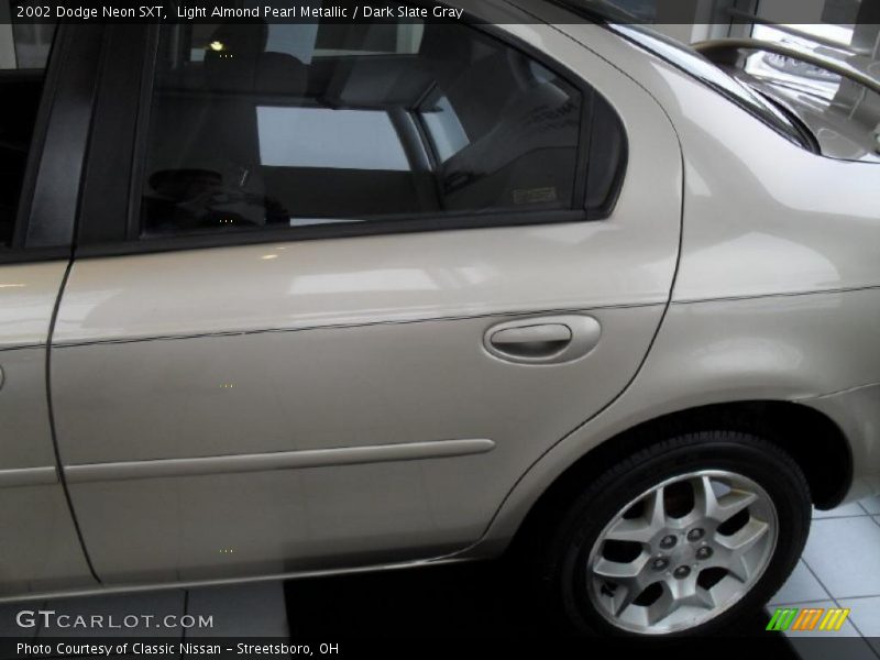 Light Almond Pearl Metallic / Dark Slate Gray 2002 Dodge Neon SXT