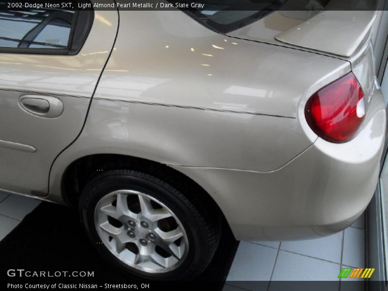 Light Almond Pearl Metallic / Dark Slate Gray 2002 Dodge Neon SXT