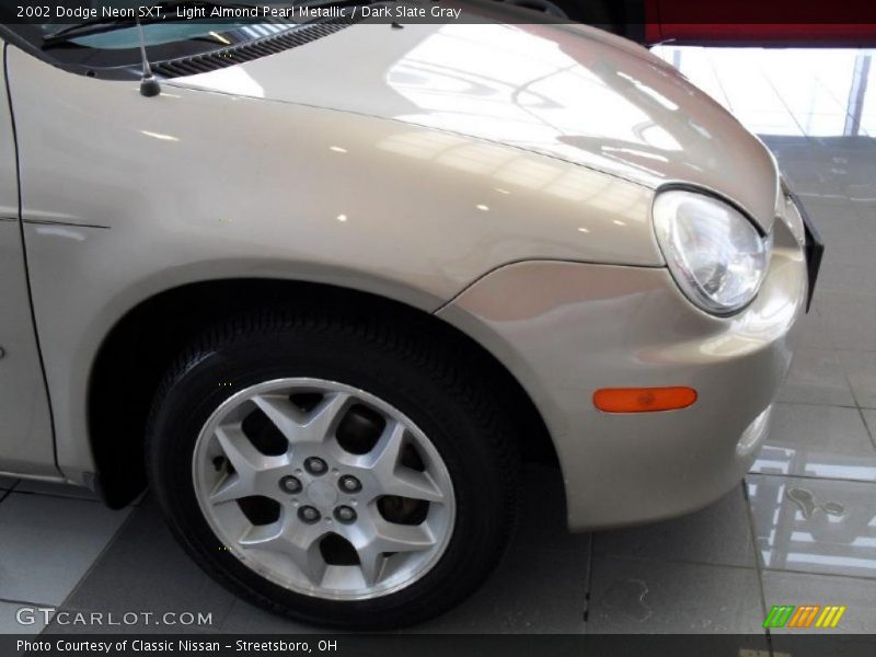 Light Almond Pearl Metallic / Dark Slate Gray 2002 Dodge Neon SXT