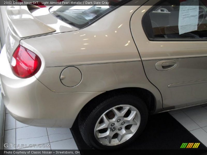 Light Almond Pearl Metallic / Dark Slate Gray 2002 Dodge Neon SXT
